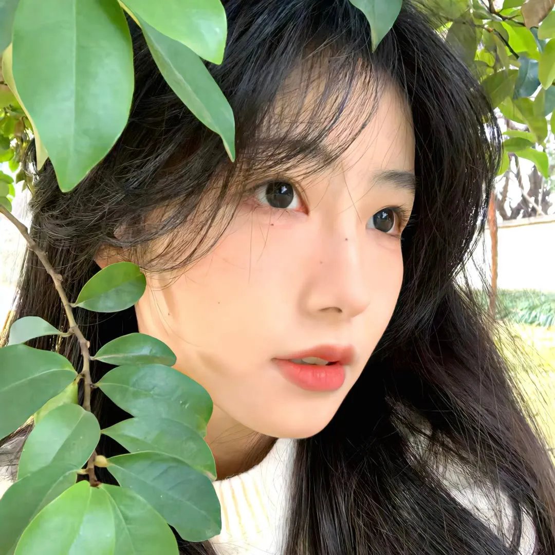 受诅的一代